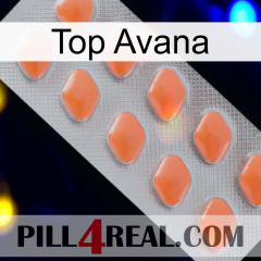 Top Avana 26